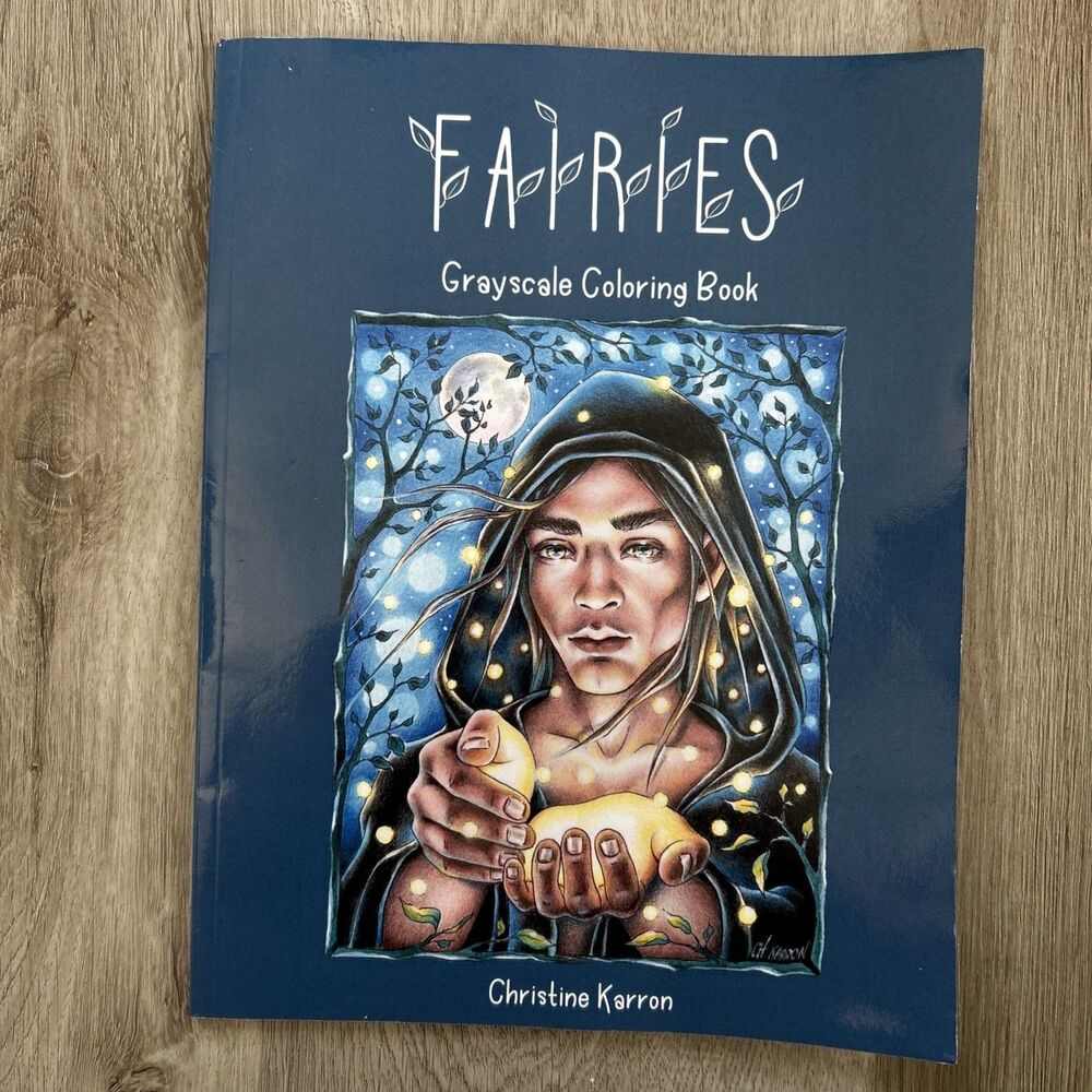 Fairies Grayscale Coloring Book by Christine Karron English Paperback Book NEW